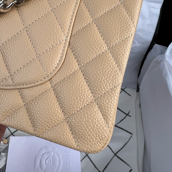 Chanel Medium Classic Flap Beige Caviar Silver Hardware - Picture 6 of 13